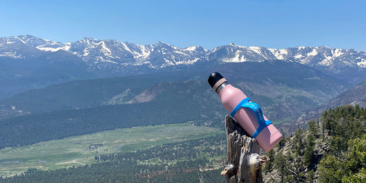 water bottle carrier