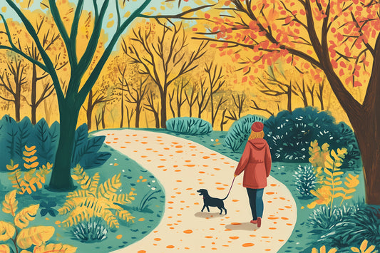benefits of dog walking